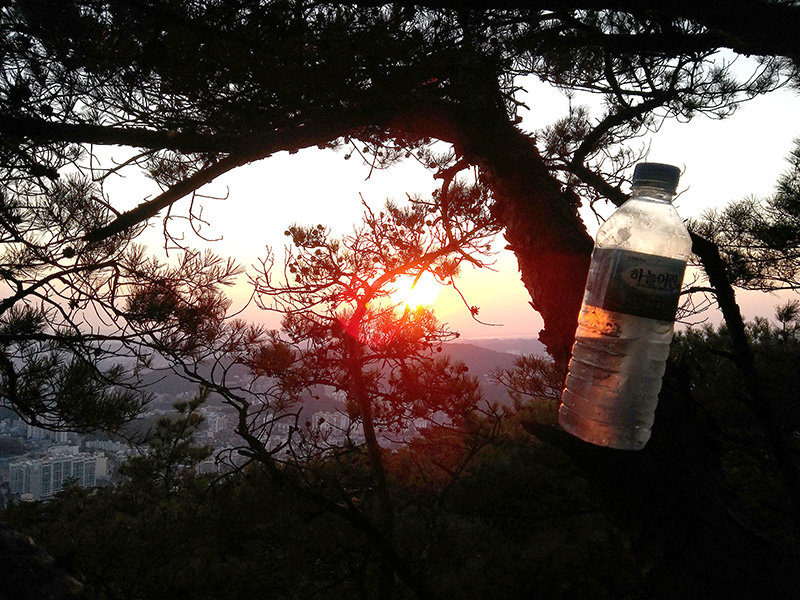 인왕산(Inwangsan Mountain) 꽃돼지를 만나다! 