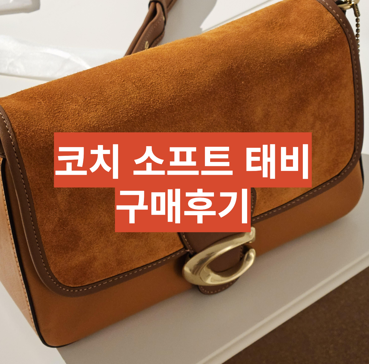  의왕 롯데 타임빌라스 쇼핑 리뷰 - 코치 소프트 태비