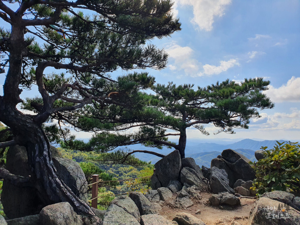 파주 감악산 까치봉