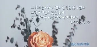 베드로전서 4장 청지기의 비유 성경 묵상_13