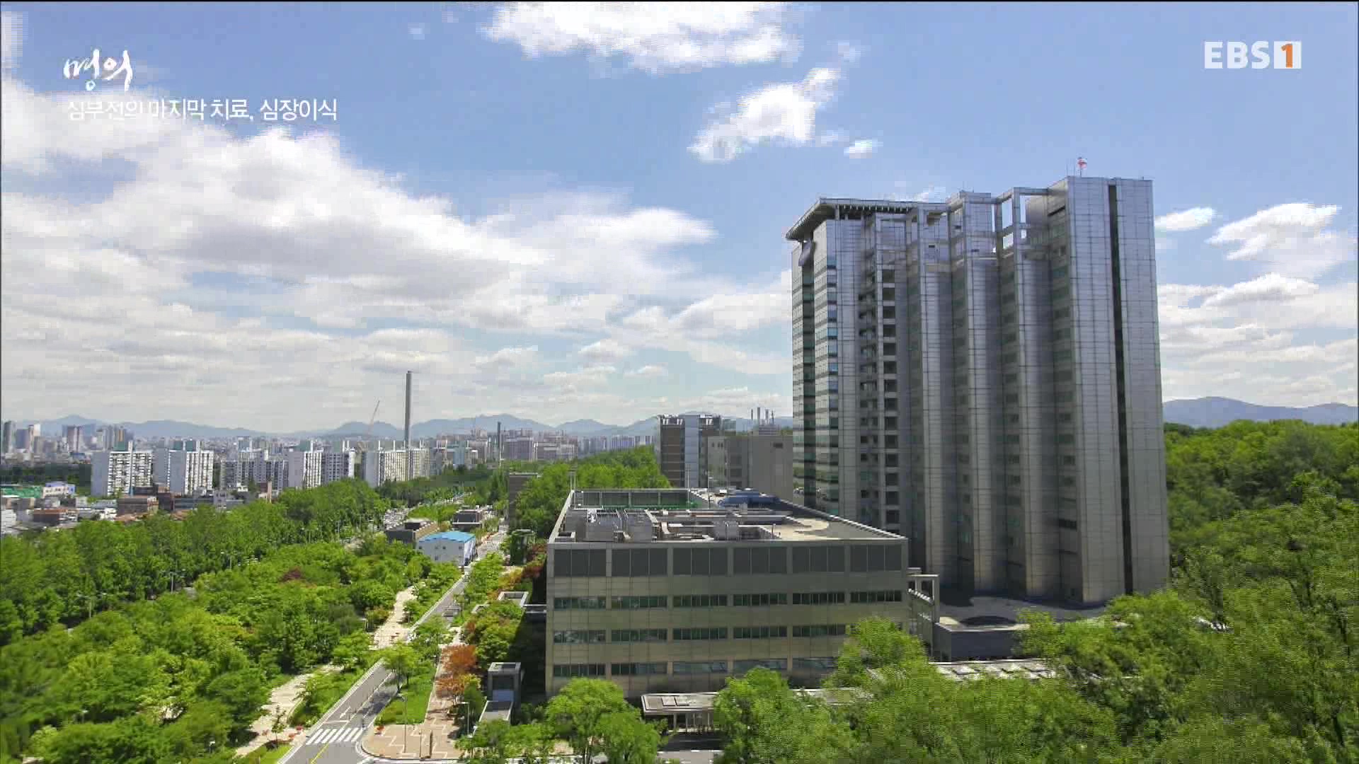 [의학 타큐] 명의-심부전.mp4_20230711_220048.719.jpg