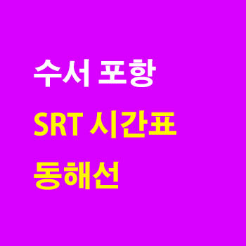 동해선 수서 포항 SRT 노선 시간표 요금 완벽정리