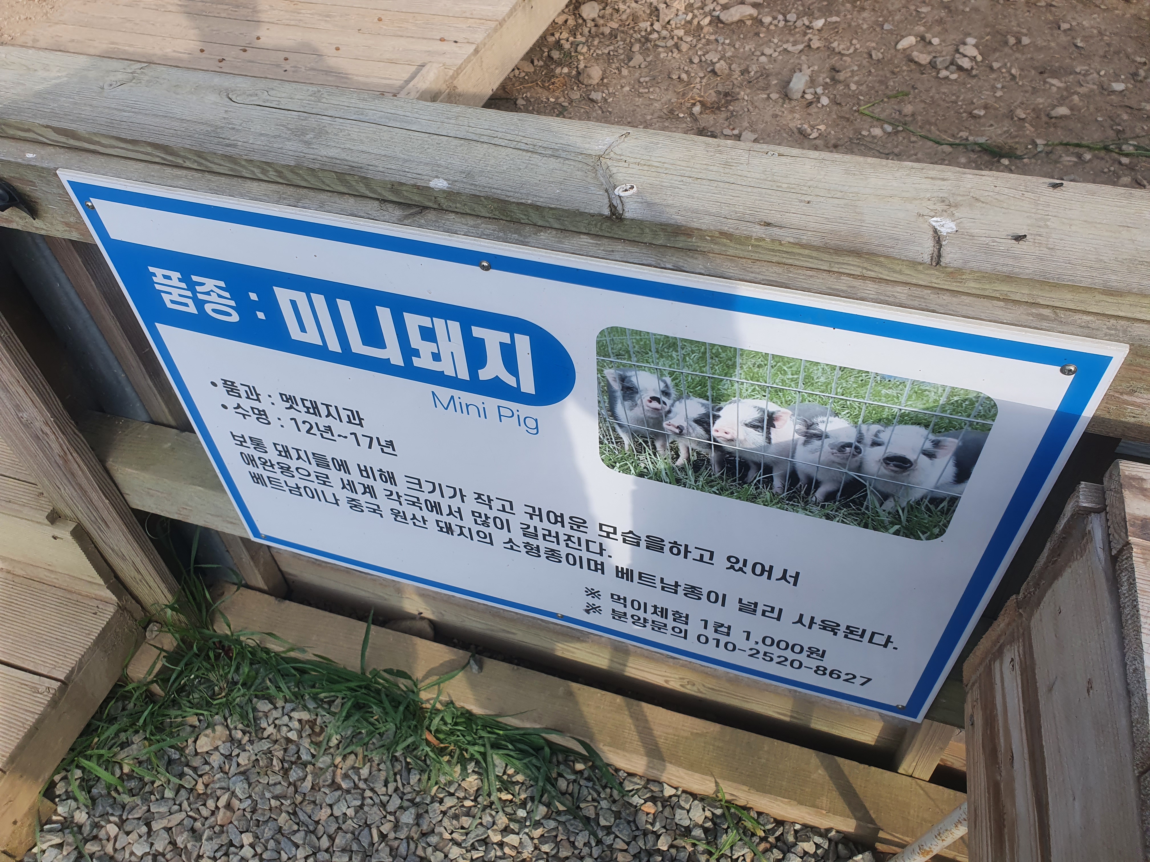  경주 화랑의 언덕가는길 : 캠핑장 입장료 이용방법