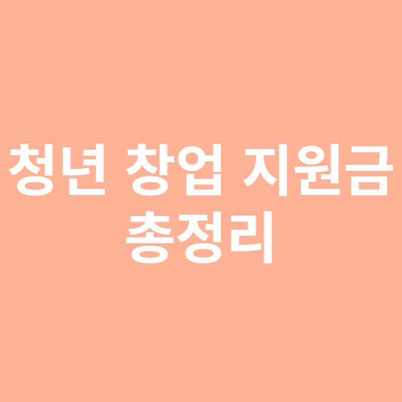 청년 창업 지원금