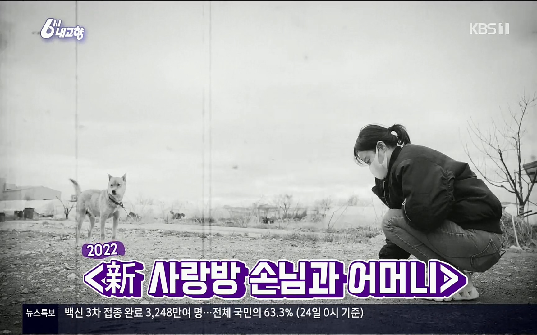 6시 내고향.E7496.220324p.H264-F1RST.mp4_20220328_174348.528.jpg