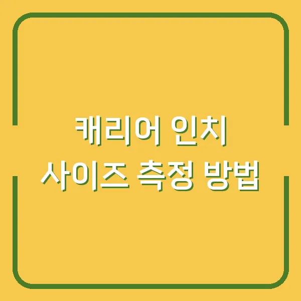 캐리어 인치 사이즈 측정 방법