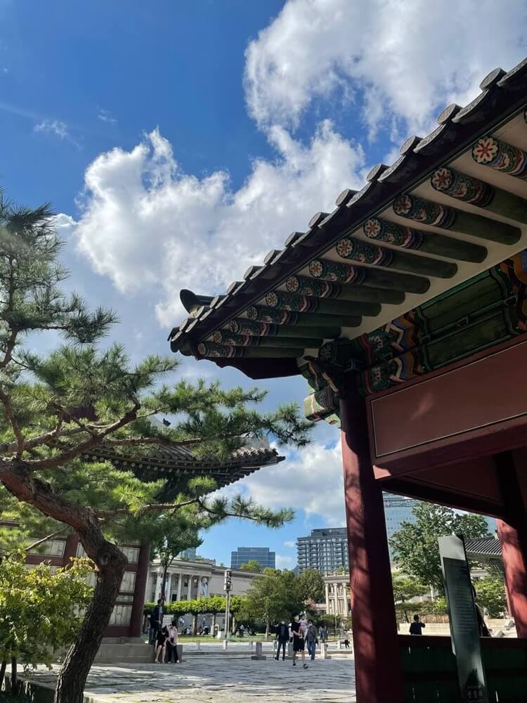 나무와 궁