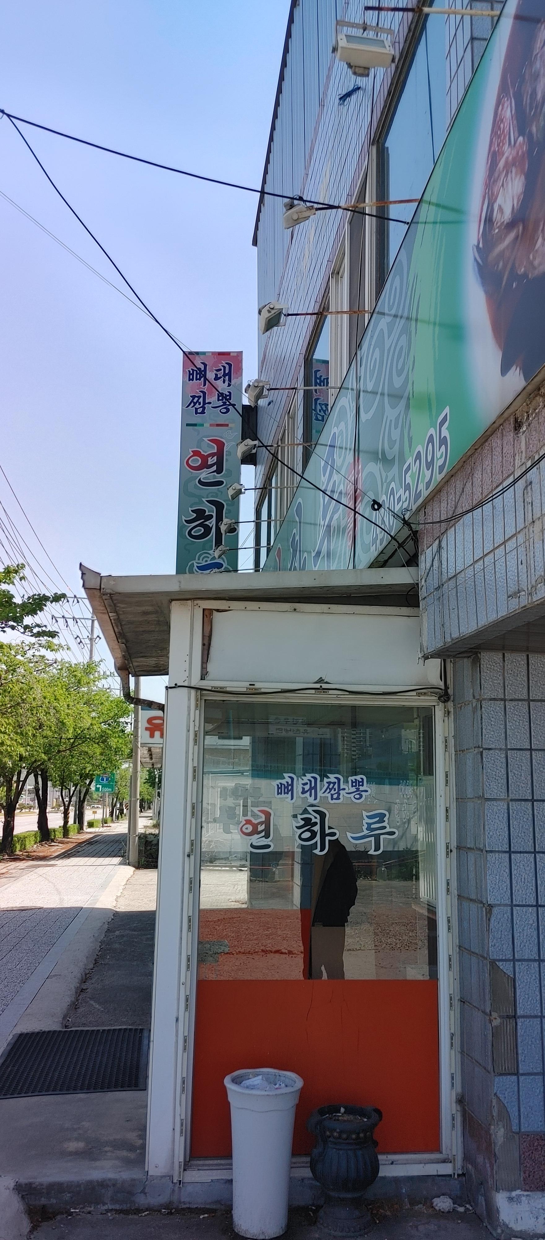 뼈대가 이미지