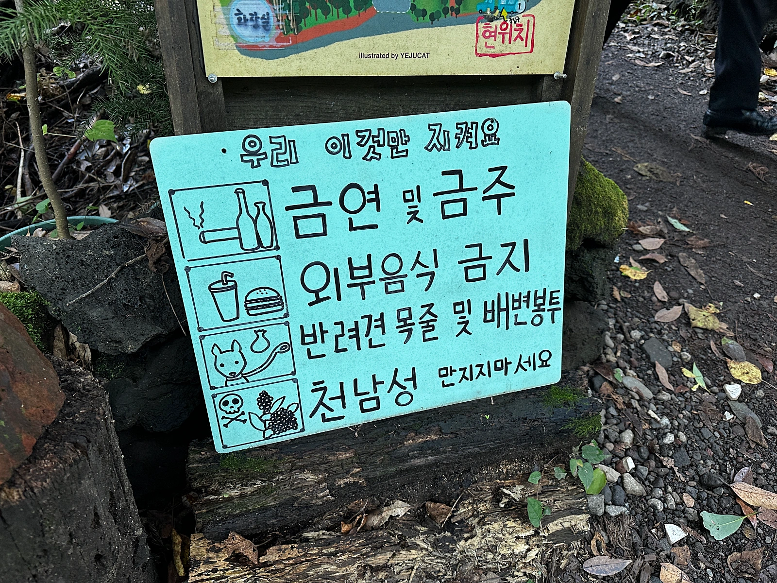 제주 구좌 비밀의숲