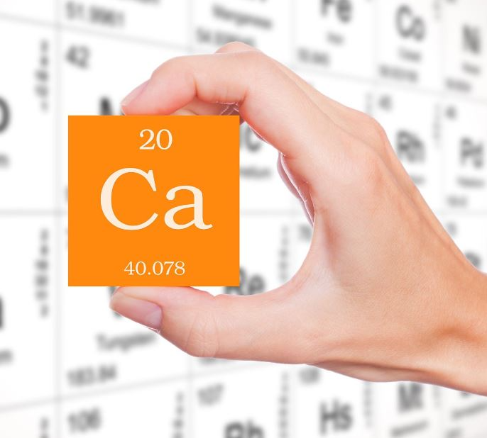 다이어트 하는데.. 칼슘의 효능 모른다고요? 다이어트 하는데.. 칼슘의 효능 모른다고요?