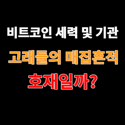 세력 및 기관들 비트코인 고래들의 비트코인 매집