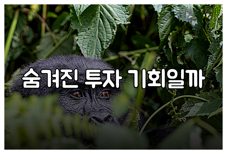 숨겨진 투자 기회일까