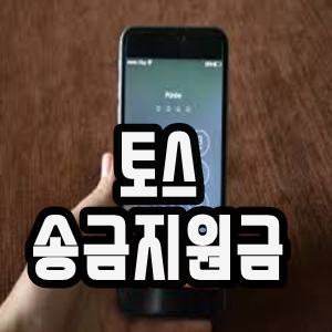  토스 송금지원금 받기