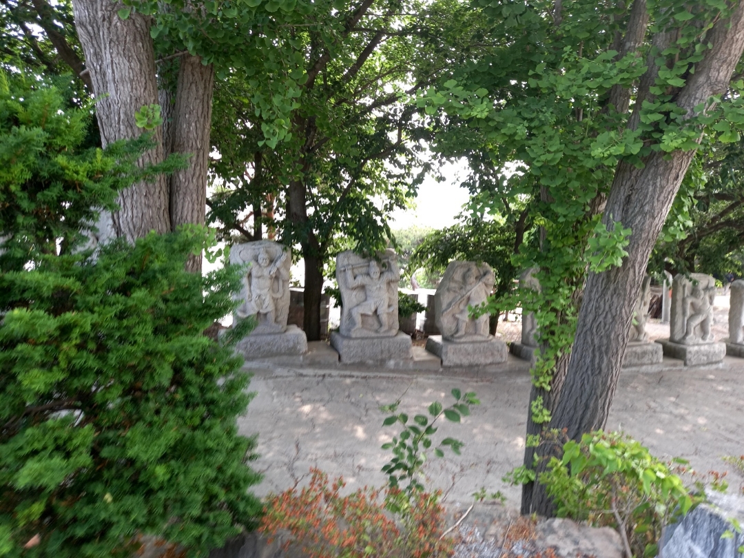 img.jpg