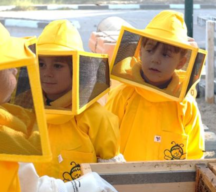 Preserving Bees and Promoting Local Honey Production in Dubai