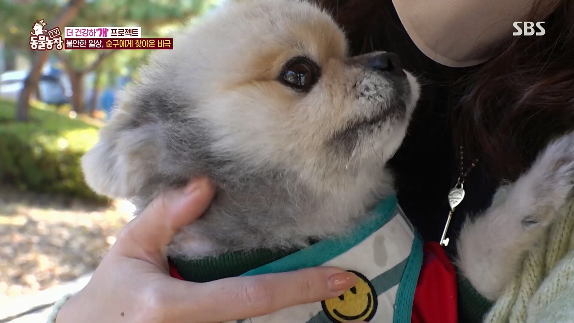 TV 동물농장.E1097.221127p.H264-F1RST.mp4_20221127_181703.290.jpg