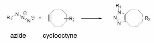 cycloaddition with azide and cyclooctyne