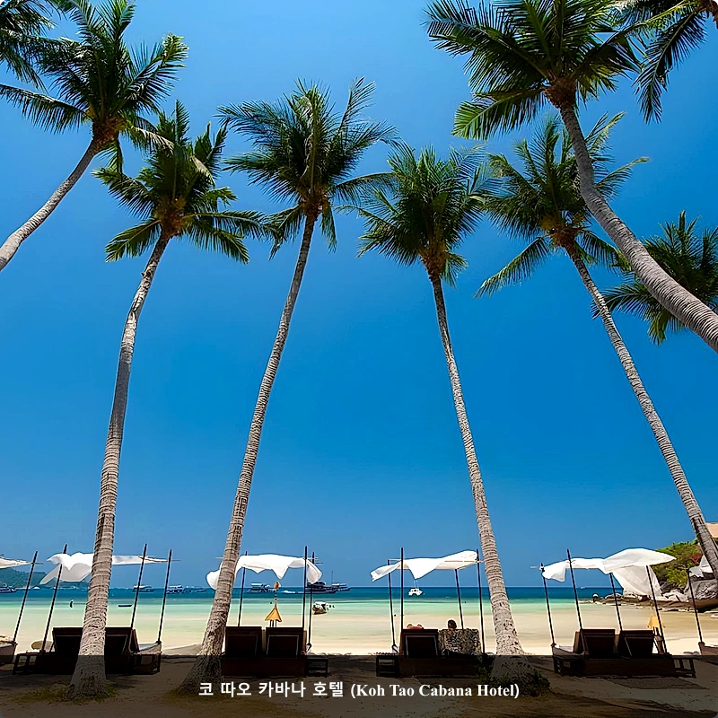 코 따오 카바나 호텔 (Koh Tao Cabana Hotel)_1