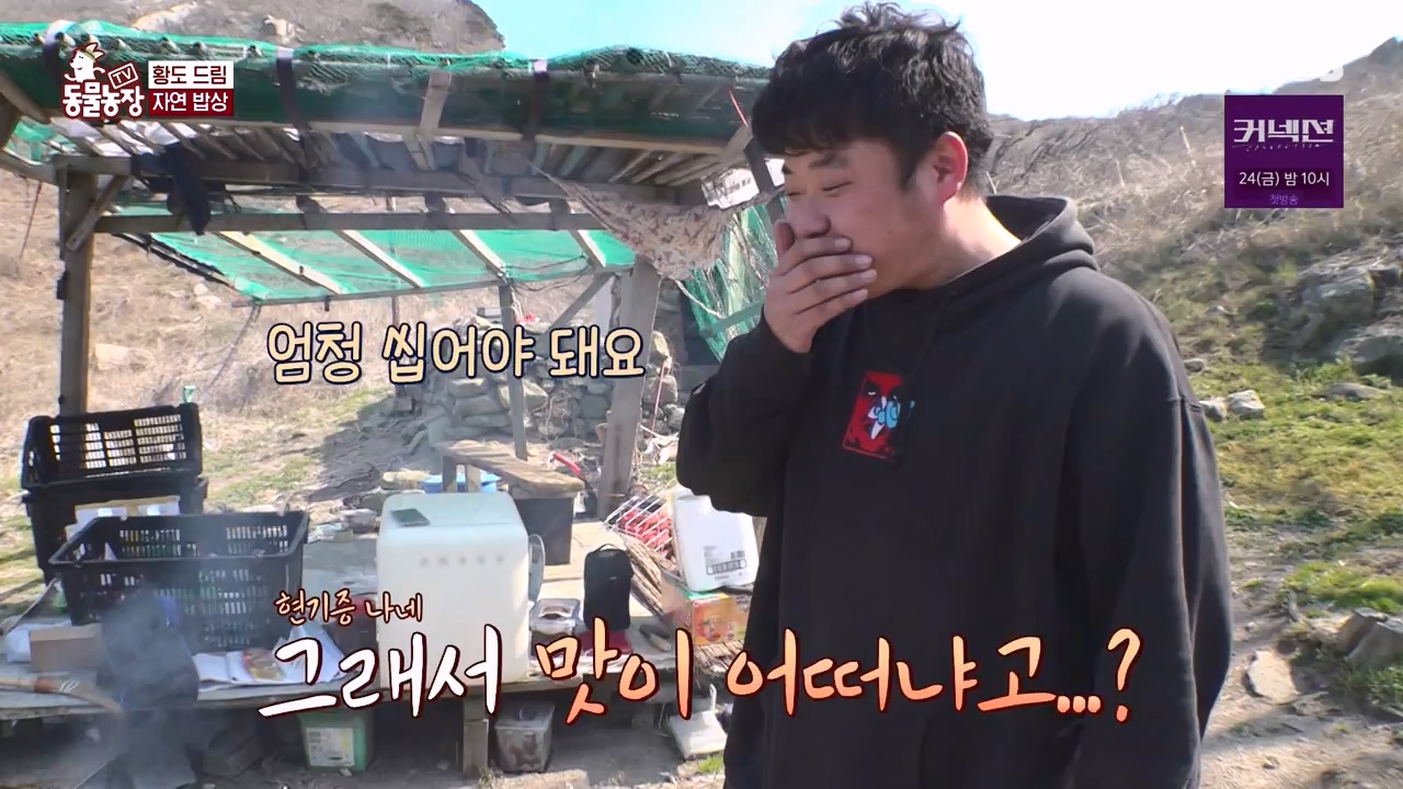 TV 동물농장.E1172.240520p-NEXT.mp4_20240519_165218.845.jpg