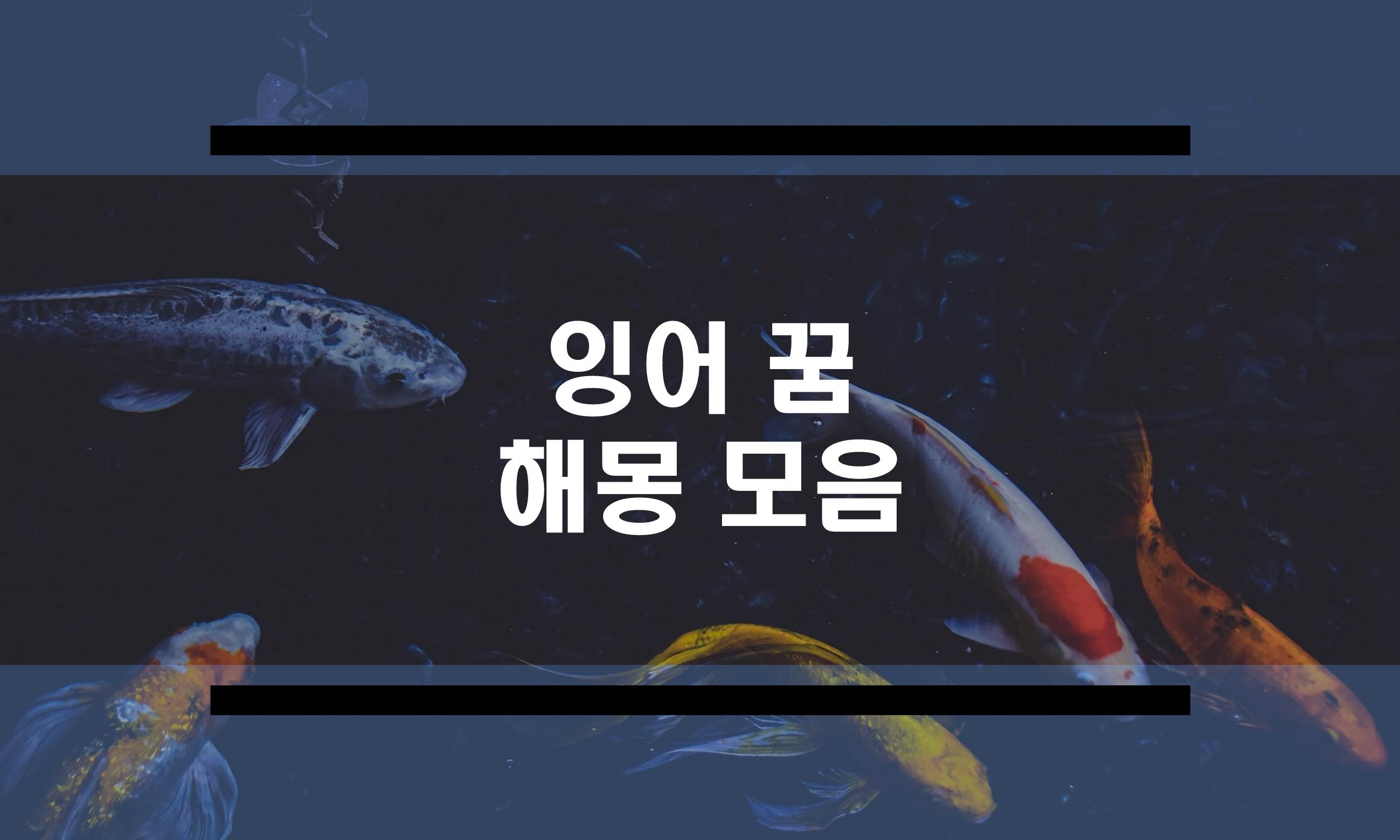  잉어꿈 해몽 모음, 잉어 태몽, 잉어 잡는 꿈 등