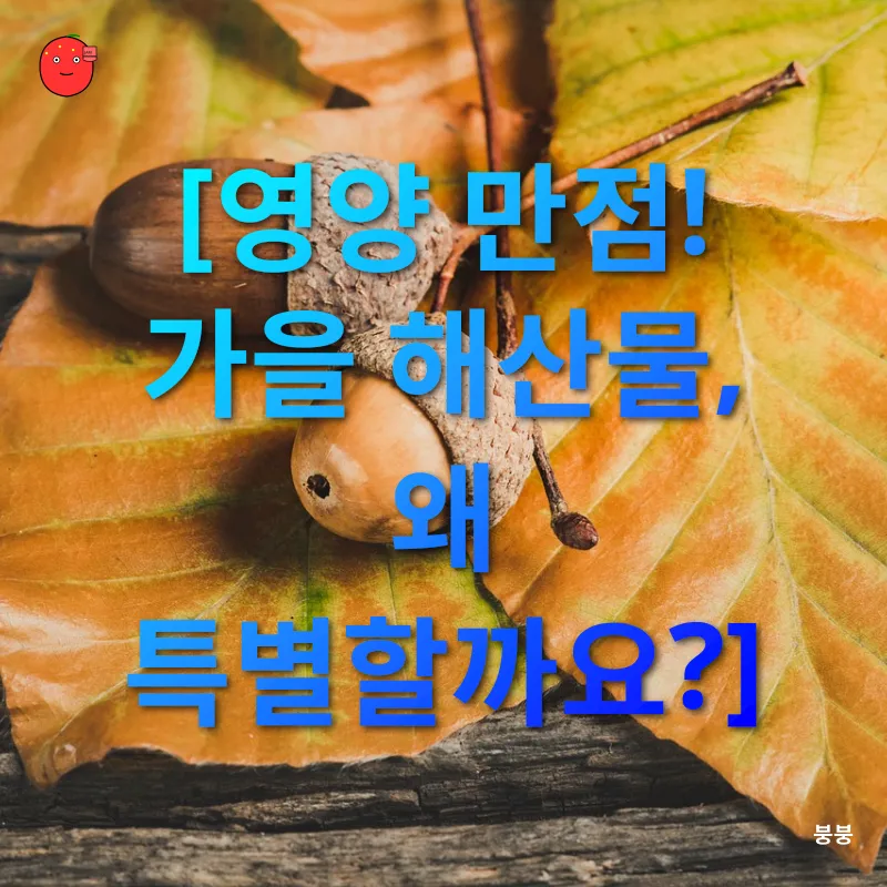 가을 제철 해산물_1