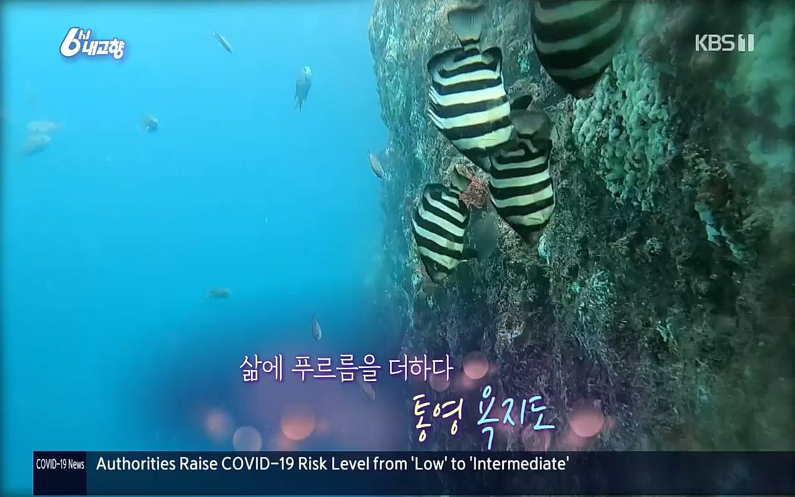 6시 내고향.E7596.220813p.H264-F1RST.mp4_20220814_180557.758.jpg