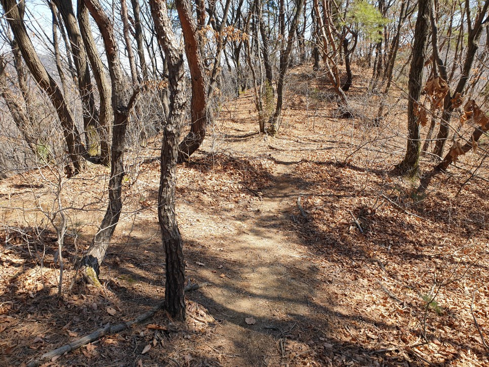 변산 - 수암봉 산행 22