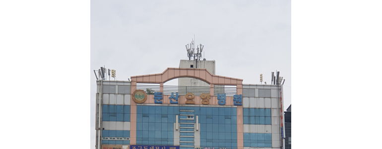 대전 대덕구 요양병원