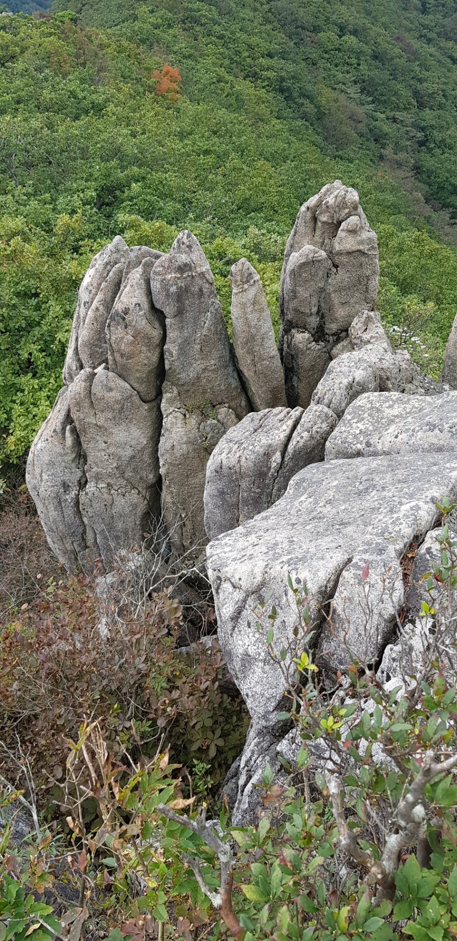 대구 영천 팔공산