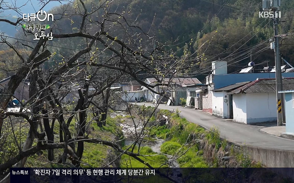 다큐 온.E138.220507p-NEXT.mp4_20220507_183404.185.jpg