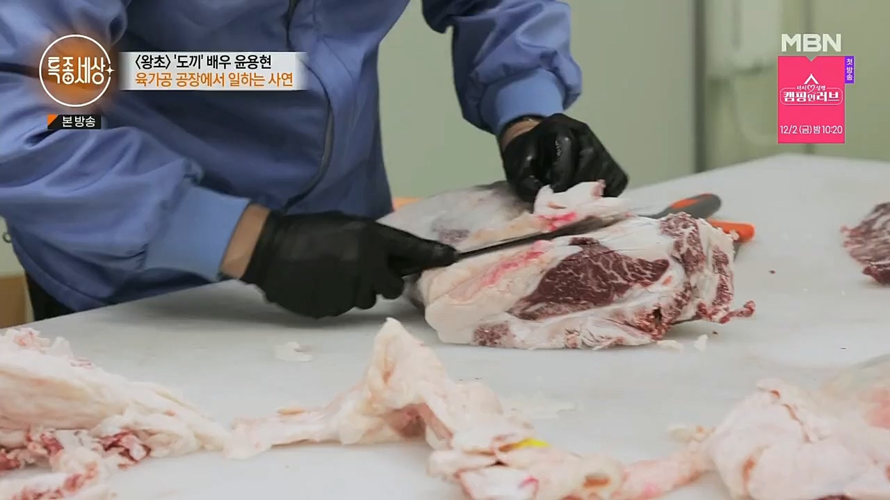 특종세상.E558.221125p.H264-F1RST.mp4_20221127_171132.229.jpg