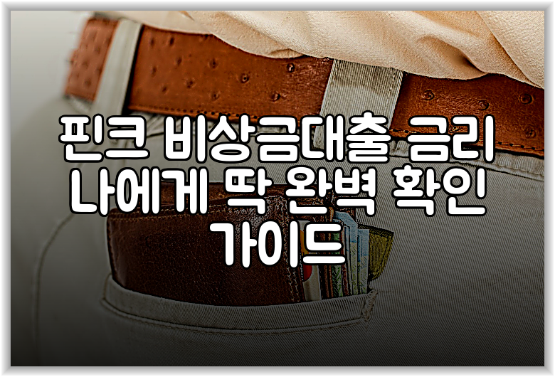 핀크 비상금대출 금리 나에게 딱 완벽 확인 가이드