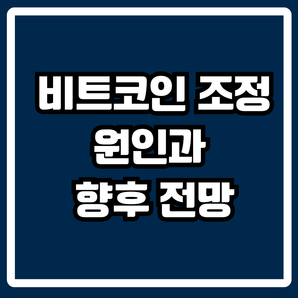 비트코인 조정 원인과 향후 전망