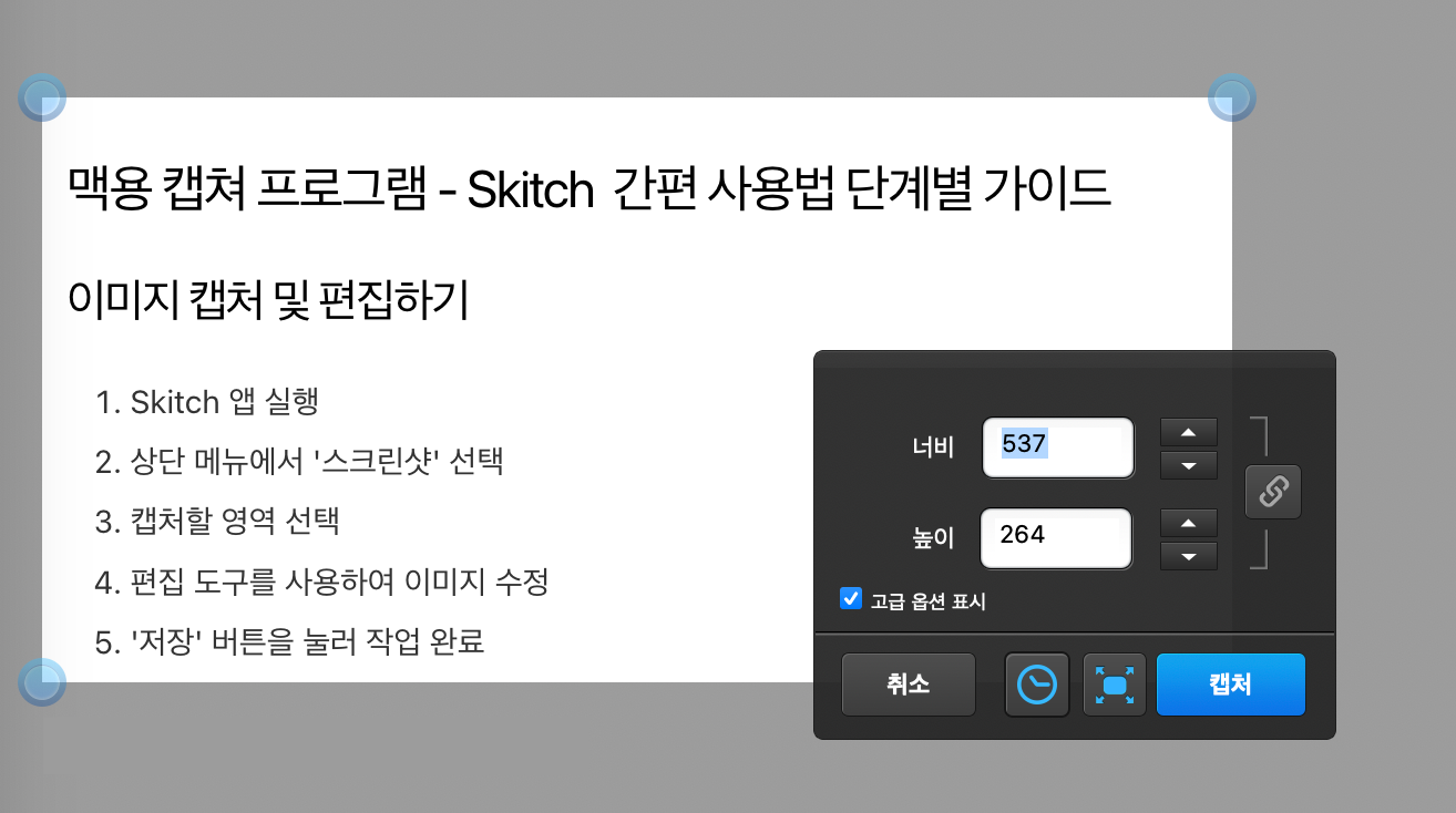 skitch for mac 화면 캡쳐