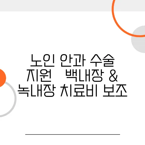노인 안과 수술 지원 – 백내장 & 녹내장 치료비 보조