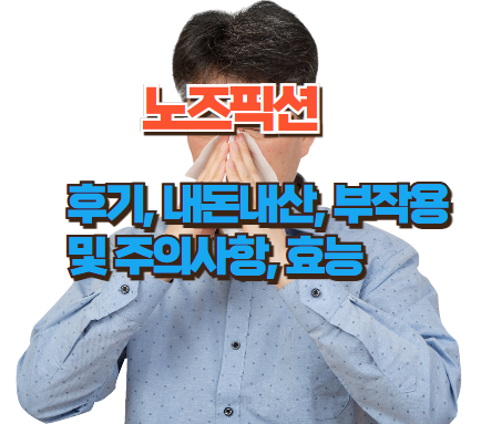 노즈픽션