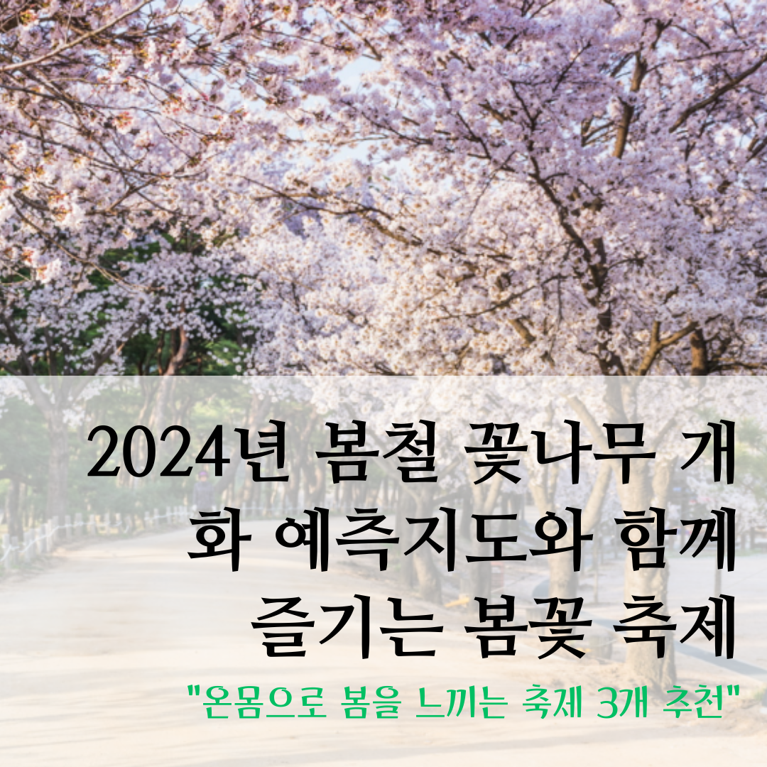 2024년 봄철 꽃나무 개화 예측지도와 함께 
즐기는 봄꽃 축제