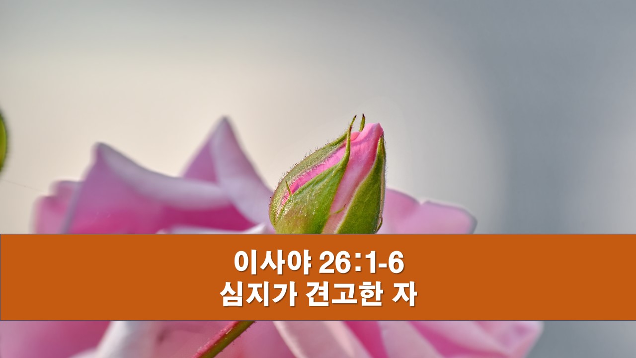  이사야 26:1-6, 심지가 견고한 자 A Man of a Strong Heart