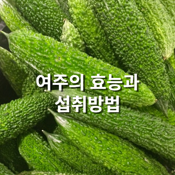  여주 효능과 먹는 방법 5가지