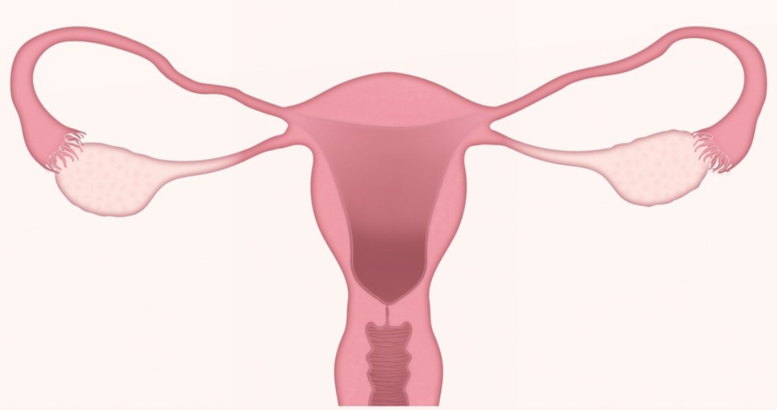  생리양이 난임에 영향을 미칠까요