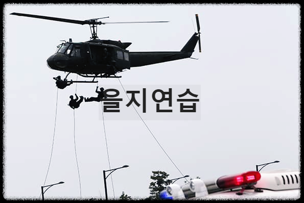  을지연습 : 전시상황을 대비하여 미국과 합동으로 진행하는 비상대비훈련
