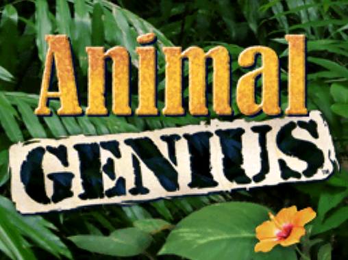  (NDS / USA) Animal Genius - 닌텐도 DS 북미판 게임 롬파일 다운로드