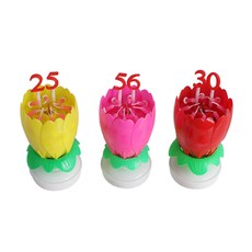  파티라이프 숫자 연꽃초,  특이한 연꽃초, 멜로디가 나오는 연꽃초를 생일파티에 사용해보세요. 너무신박하고 좋은 아이템입니다. 반응 대박~