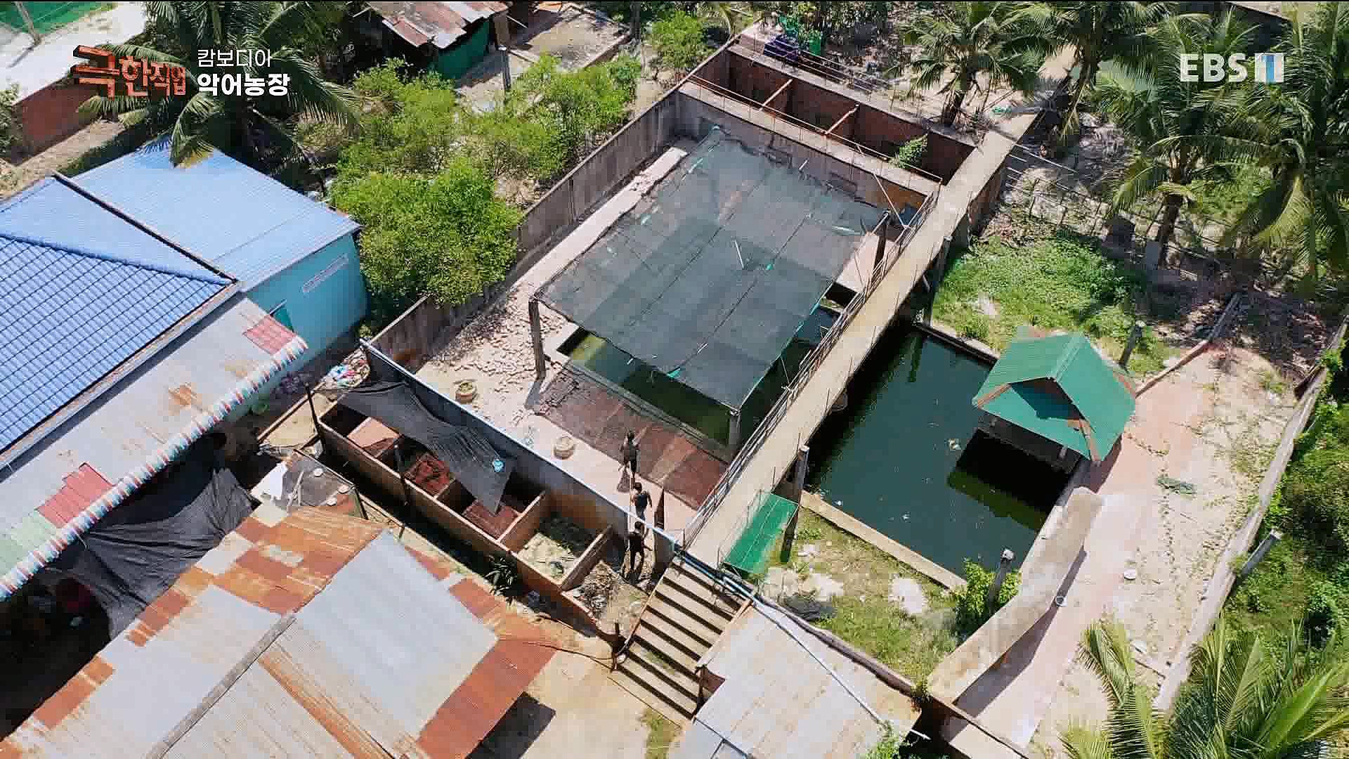 캄보디아 악어농장 230325.mp4_20230327_194957.194.jpg