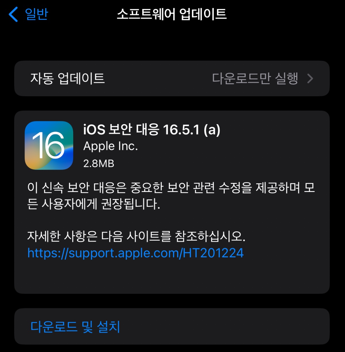 iOS 보안 대응 16.5.1(c)