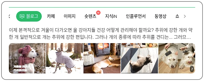 반려견 건강 관리_1_subsection