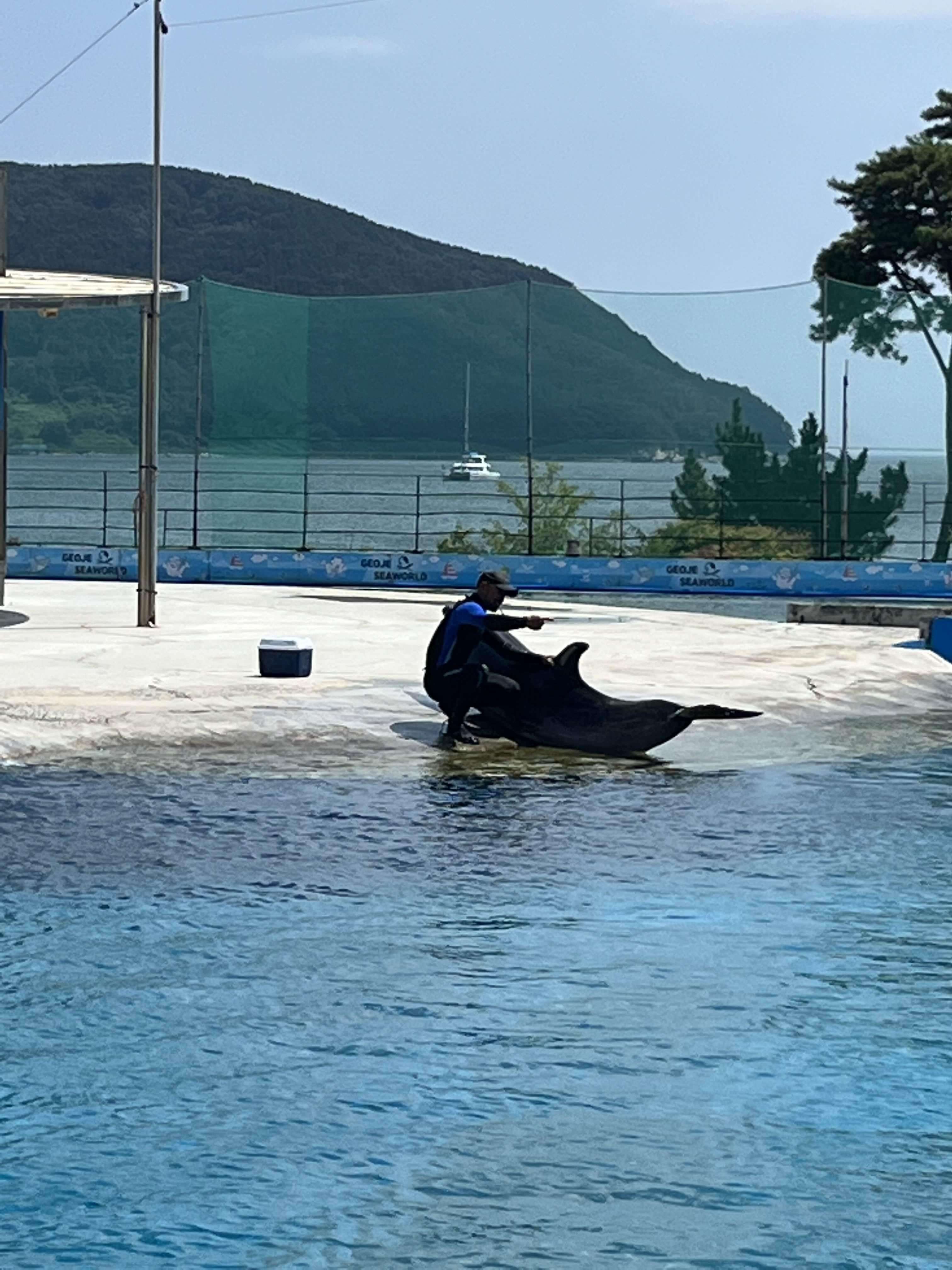 조련사와 돌고래사진