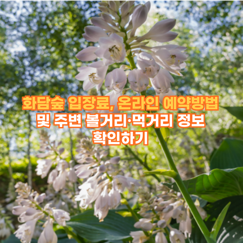 화담숲 입장료, 온라인 예약방법 및 주변 볼거리·먹거리 정보 확인하기