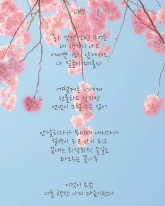 봄 시 모음 이해인 나태주 명시 모음_13