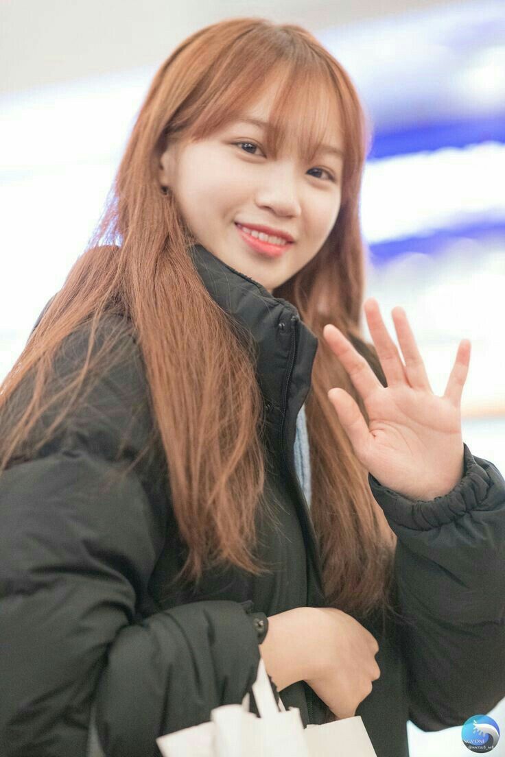 김채원 사진 모음